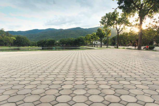 Best Decorative Driveway Pavers  in Lynwood, CA